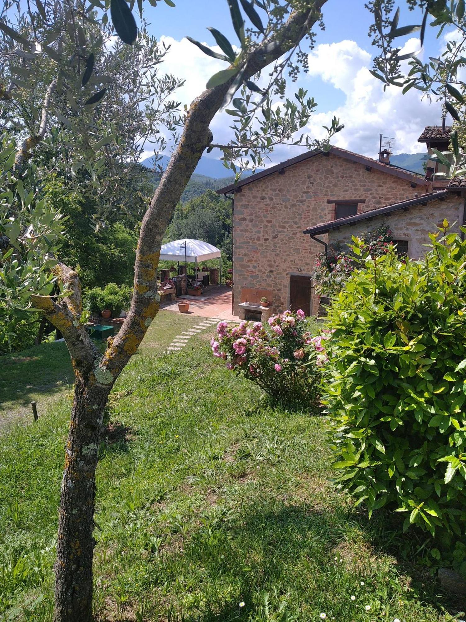 Villa Belvedere Pieve Fosciana Buitenkant foto